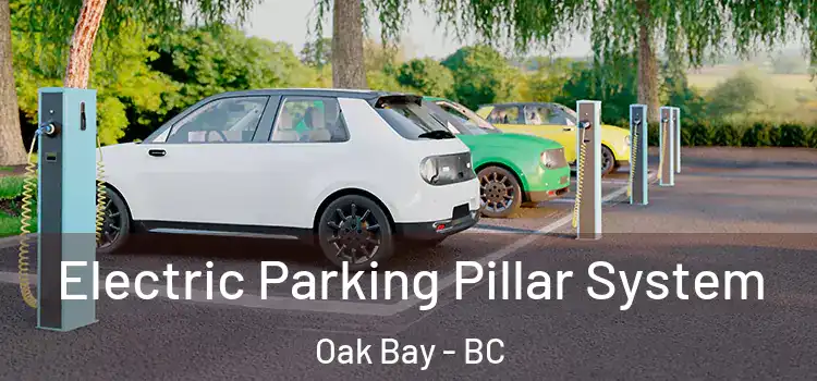Electric Parking Pillar System Oak Bay - BC