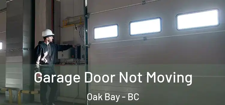  Garage Door Not Moving Oak Bay - BC