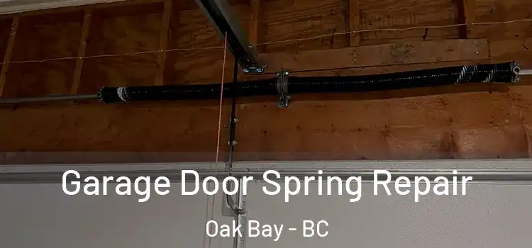  Garage Door Spring Repair Oak Bay - BC