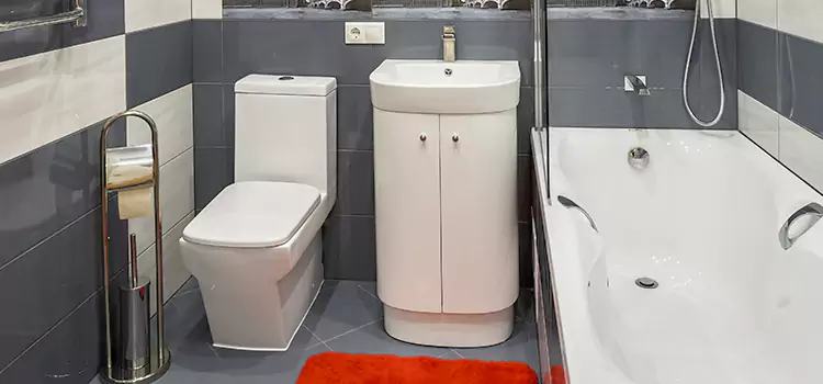 Hansgrohe Shaving Mirror Oak Bay