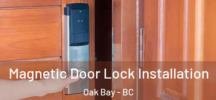  Magnetic Door Lock Installation Oak Bay - BC