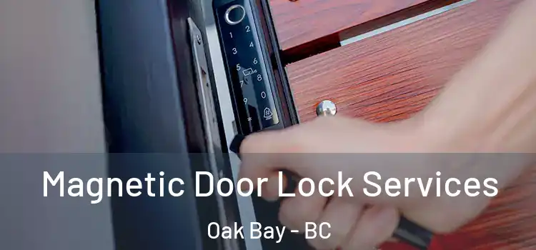 Magnetic Door Lock Services Oak Bay - BC
